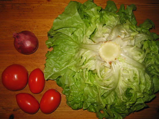 IMG_2481-Kopf Salat-560