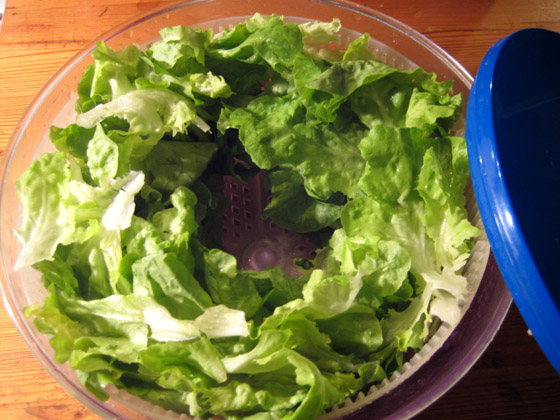 IMG_4889-Salatschleuder mit Salat