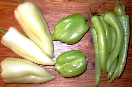 P6037308-nicht scharfe grüne Paprika B560 P6037308-nicht scharfe grüne Paprika B560