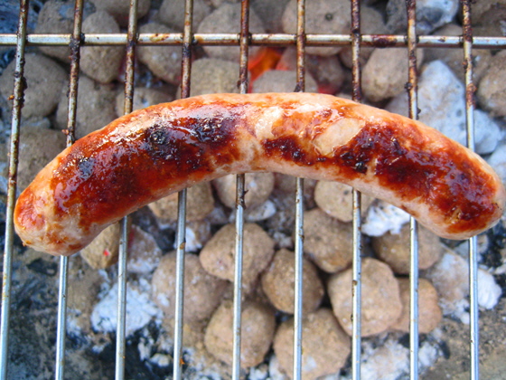 IMG_7950-Bratwurst auf dem Grillrost-560 IMG_7950-Bratwurst auf dem Grillrost-560