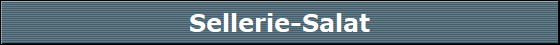 Sellerie-Salat