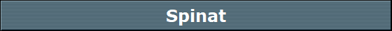 Spinat